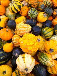 Decorating Pumpkins